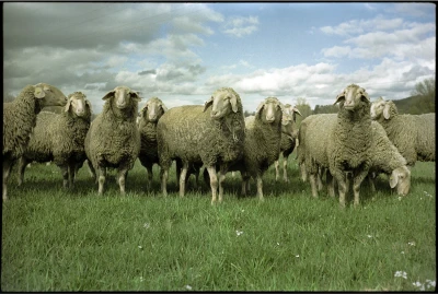 bildergalerie image 4